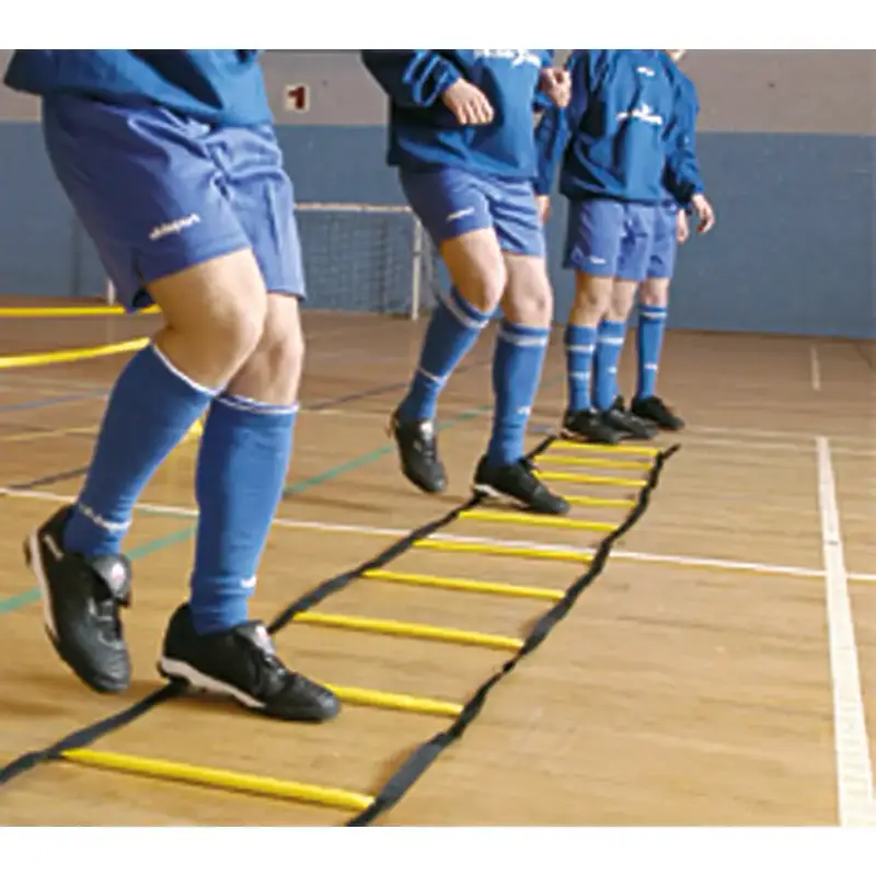 Scala di agilità interna Precision