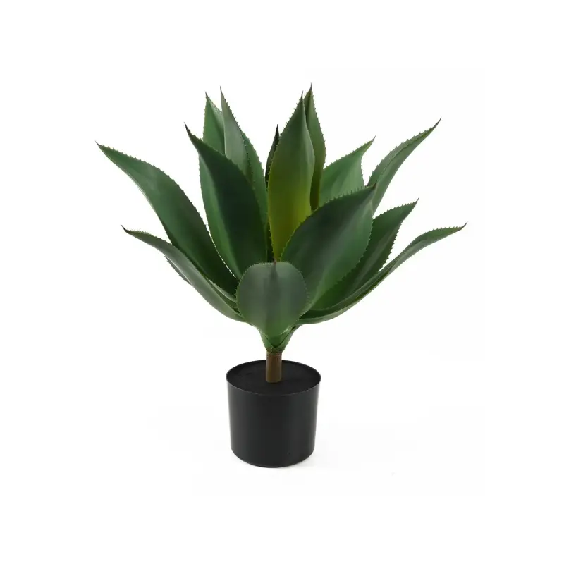 Pianta artificiale Present Time Succulent