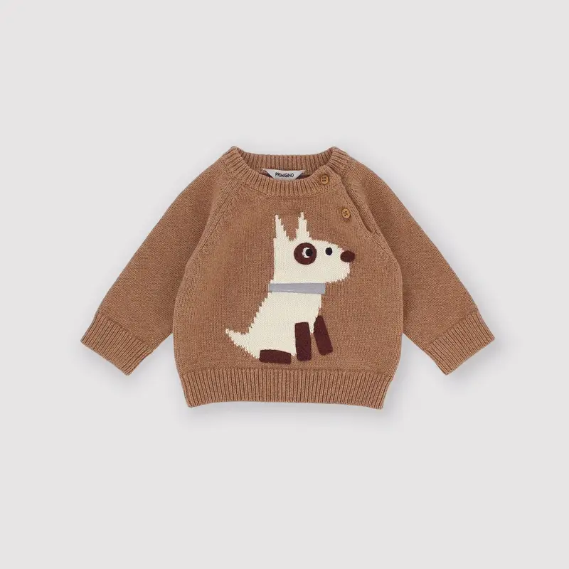 Maglioncino da bambino marrone