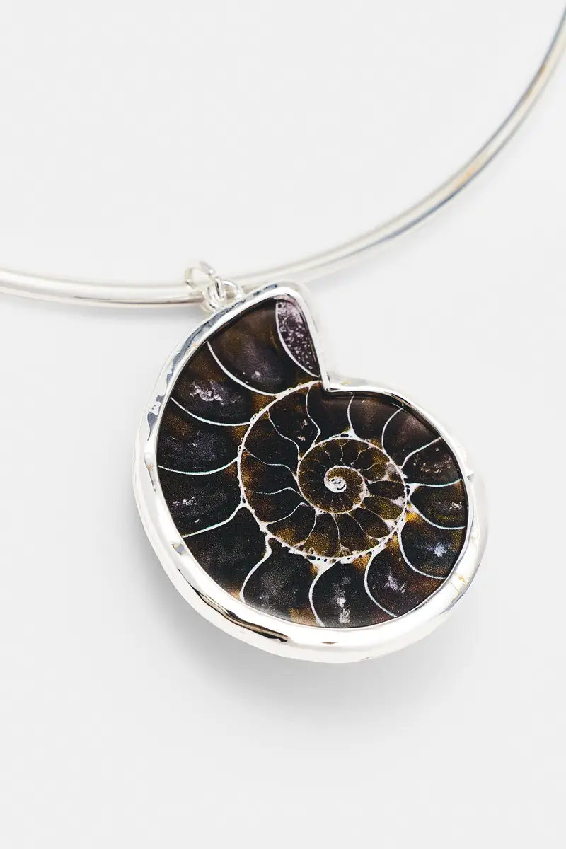 Collana Rigida Con Conchiglia Marrone miniatura 3