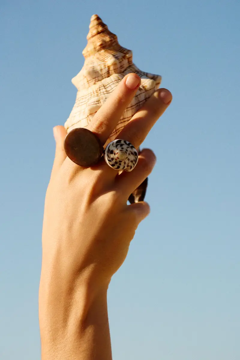 Confezione Anelli Conchiglia Marrone miniatura 2