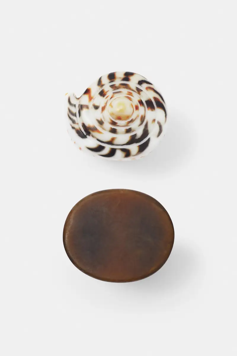 Confezione Anelli Conchiglia Marrone