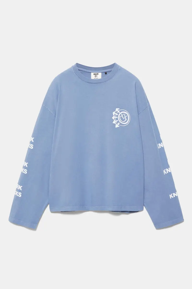 Maglietta Blink 182 Azzurro lavato miniatura 2