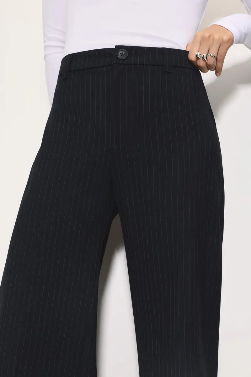 Pantaloni Eleganti A Vita Alta A righe miniatura 3