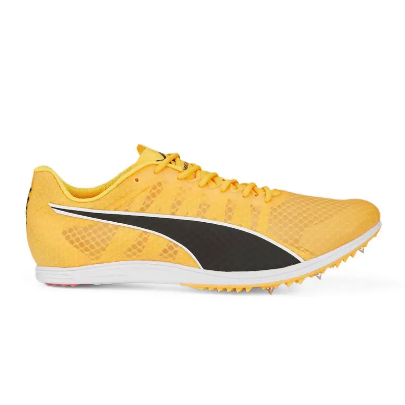 EVOSPEED DISTANCE Giallo