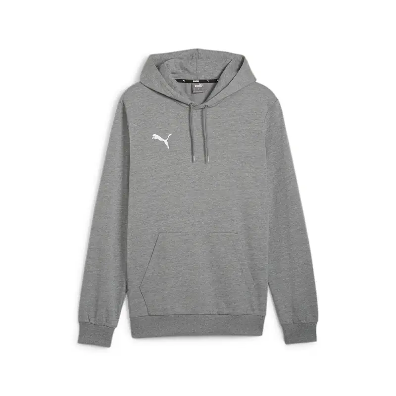 Felpa con cappuccio Puma Teamgoal Casuals Gris