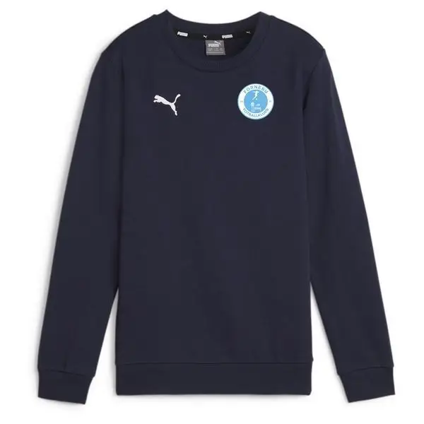 Felpa per bambini Puma teamGOAL Casuals Bleu