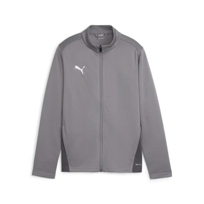 Felpa per bambini Puma TeamGoal Gris