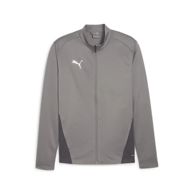 Felpa Puma TeamGoal Gris