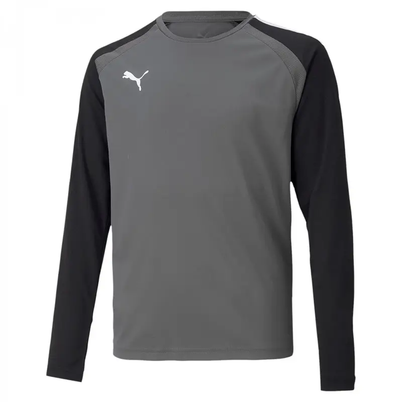 Puma Felpe Ragazzo Grigio 3246900