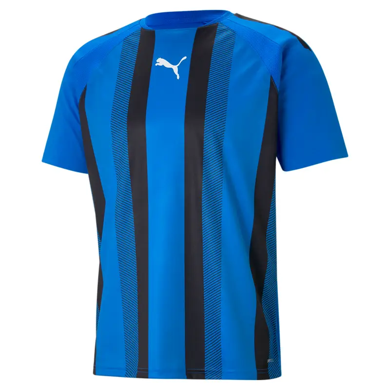 Jersey Puma Team Liga Striped Bleu