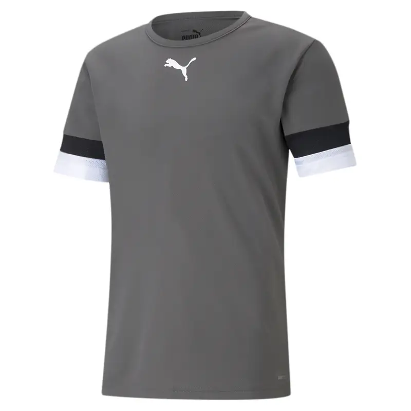 Jersey Puma Team Rise Gris