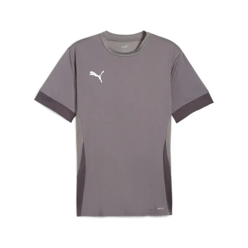 Jersey Puma Teamgoal Matchday Gris