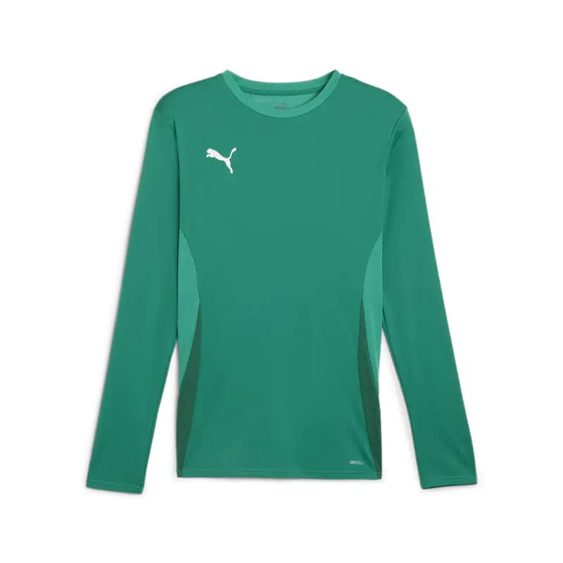 Maglia a maniche lunghe Puma TeamGoal Vert