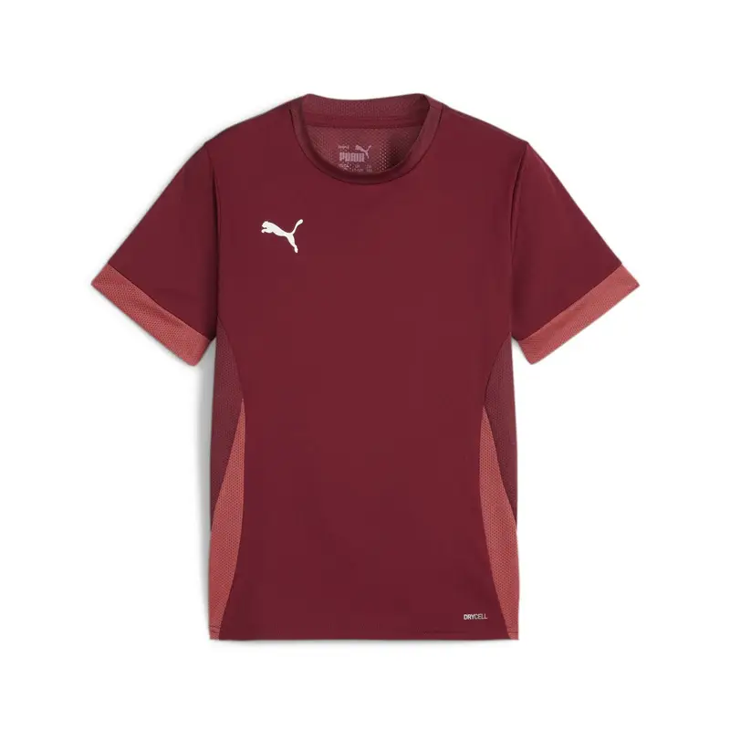 Maglia da allenamento per bambini Puma TeamGoal Rouge