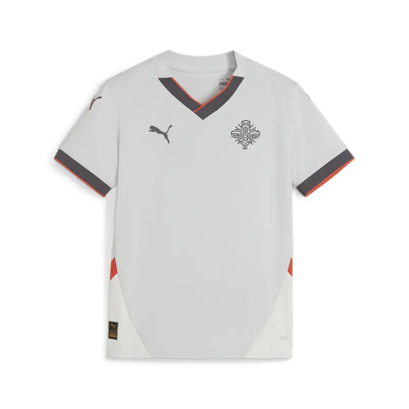 Maglia da calcio gara Away Islanda 2024 da ragazzi PUMA Ash Gray Warm Earth Red | Puma Grigio