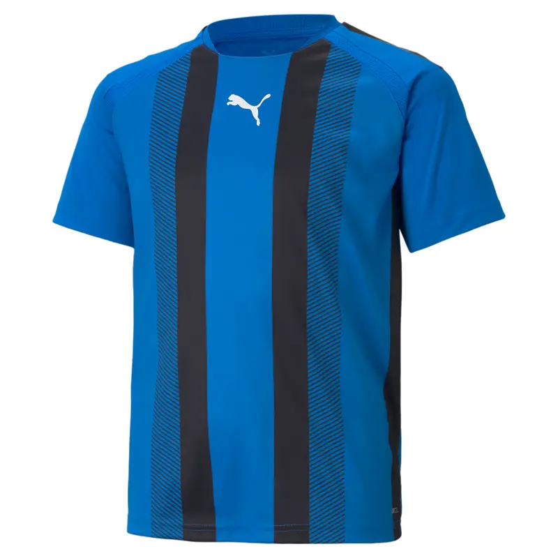 Maglia per bambini Puma Team Liga Striped Bleu
