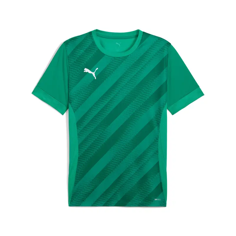 Maglia per bambini Puma teamGoal Graphic Vert
