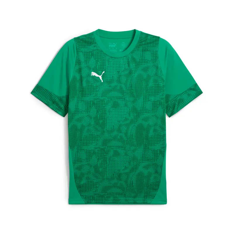 Maglia Puma Team Cup Vert