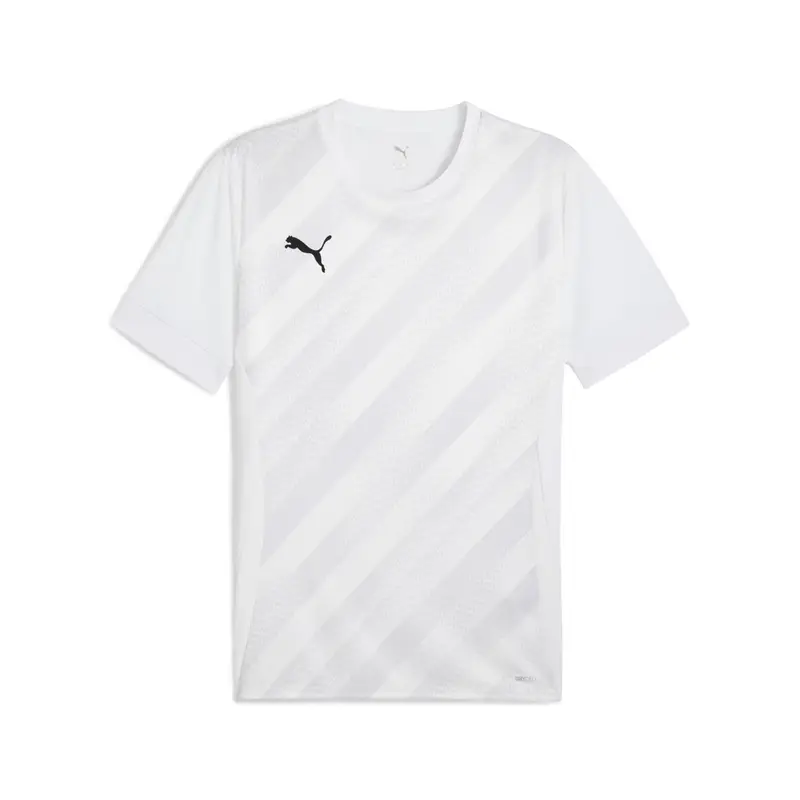 Maglia Puma teamGoal Graphic Blanc