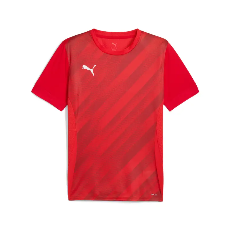 Maglia Puma teamGoal Graphic Rouge