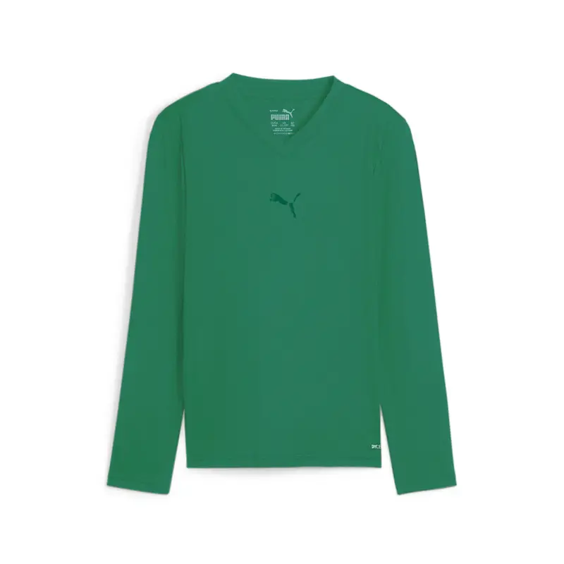 Maglietta a manica lunga per bambini Puma TeamGoal Baselayer Vert