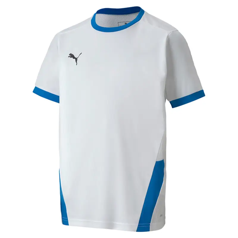 Maglietta Puma Teamgoal 23 Jersey Jr. Bianca. Bambini | Puma Bianco
