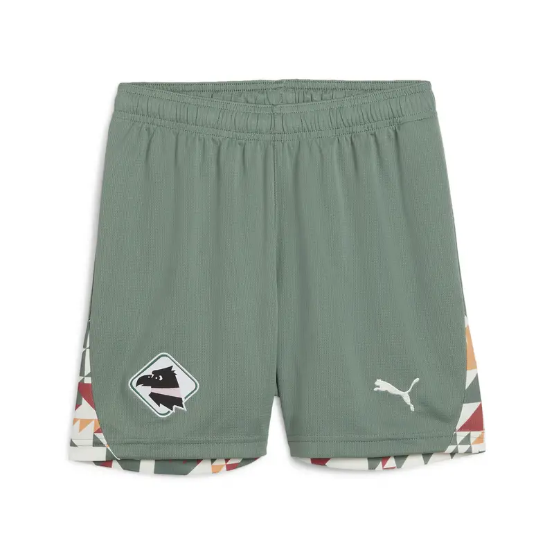 Palermo F.C. Shorts Third 24/25 per ragazzi PUMA Eucalyptus Green | Puma Verde