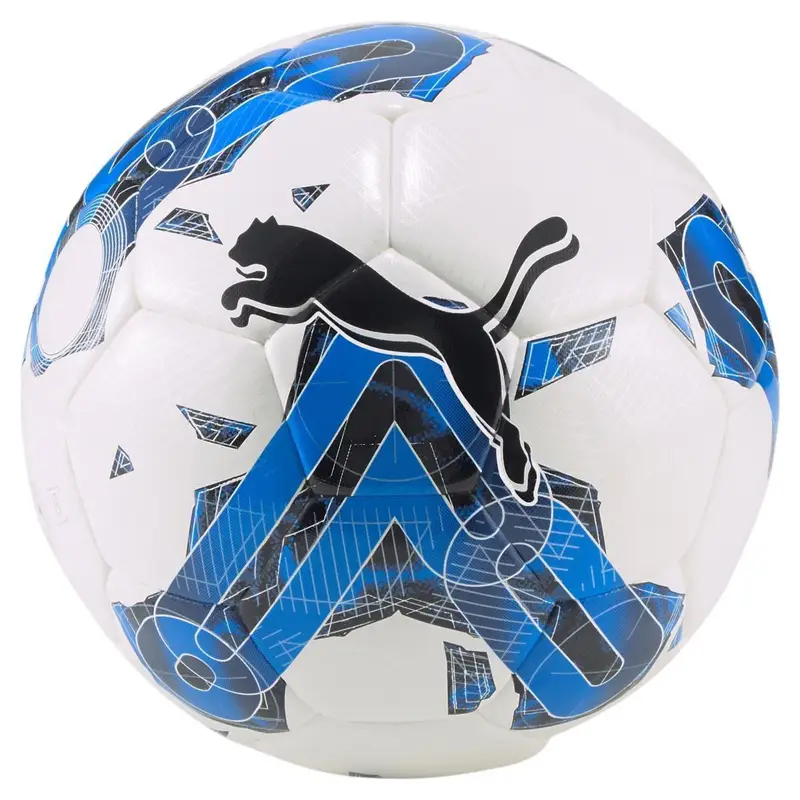 PALLONE da calcio puma bianco | Puma