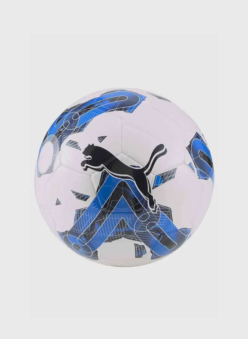 PALLONE da calcio puma bianco | Puma