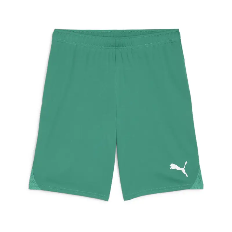 Pantaloncini calcio Puma TeamGoal Vert