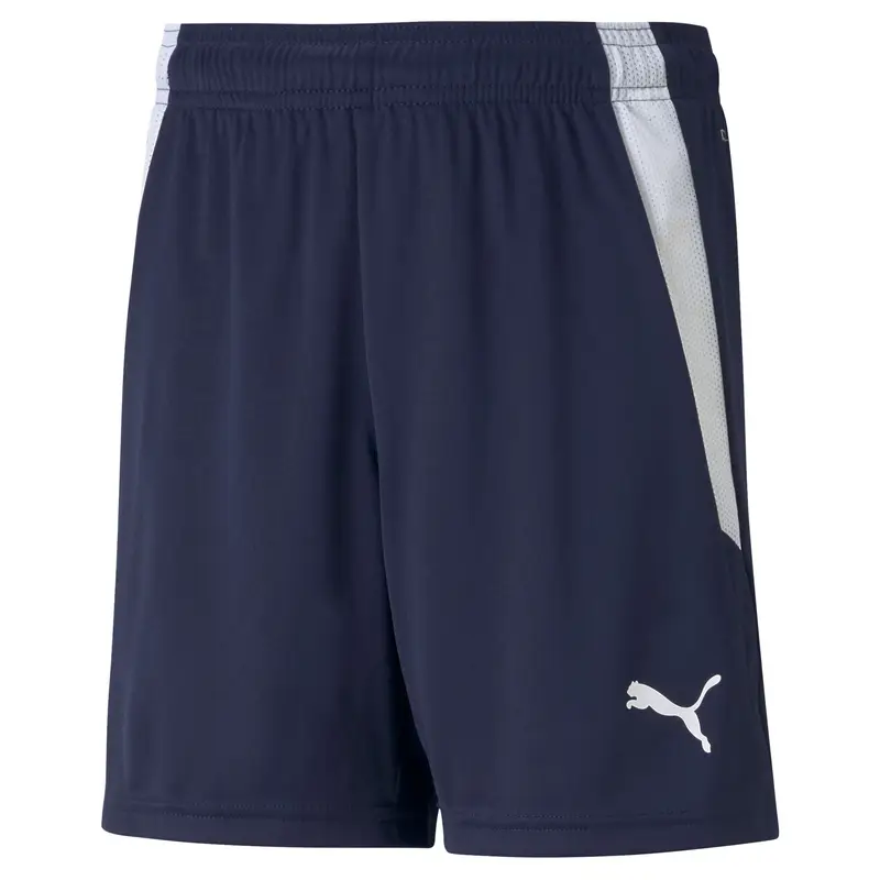 Pantaloncini per bambini Puma Team Liga Bleu
