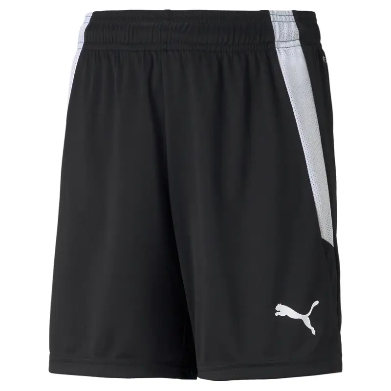 Pantaloncini per bambini Puma Team Liga Noir