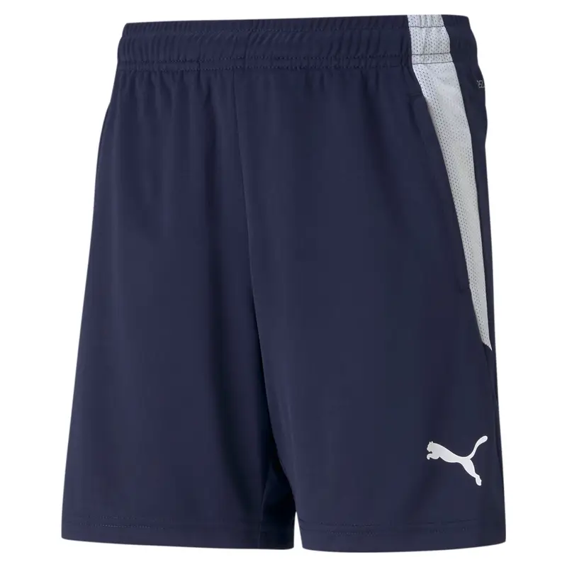 Pantaloncini per bambini Puma Team Liga Training Bleu