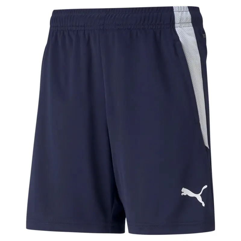Pantaloncini per bambini Puma Team Liga Training | Puma Blu scuro