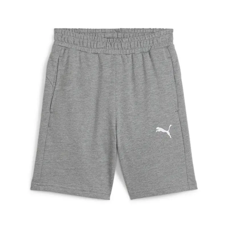 Pantaloncini per bambini Puma TeamGoal Gris