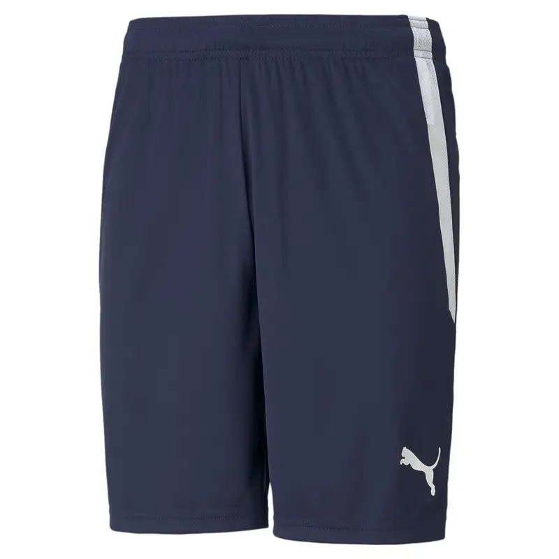 Pantaloncini Puma Team Liga Bleu