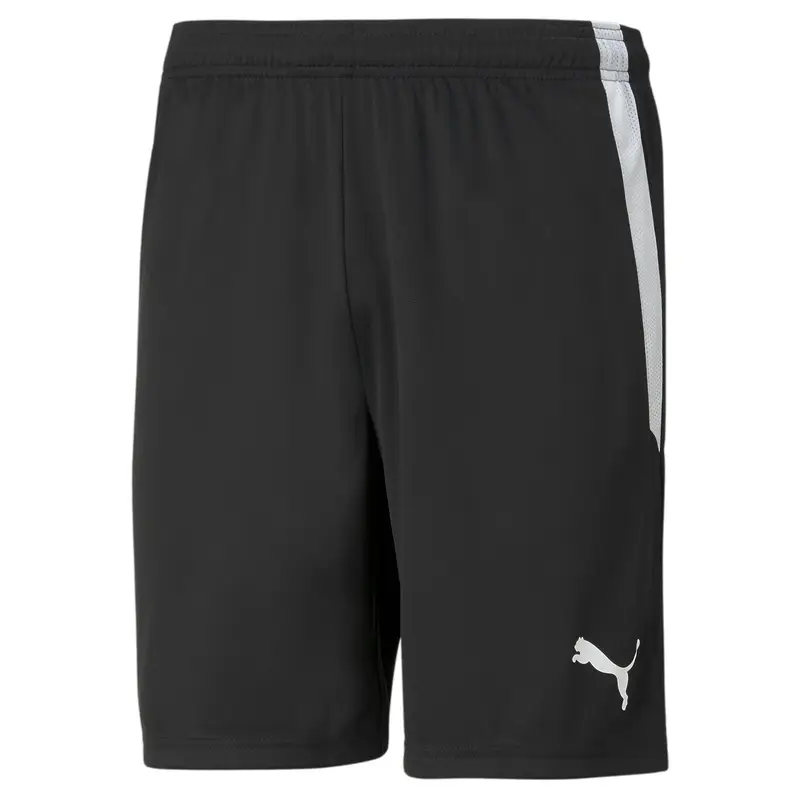Pantaloncini Puma Team Liga Noir