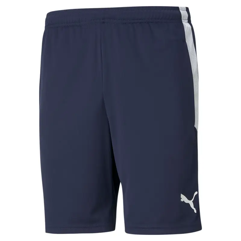 Pantaloncini Puma Team Liga Training Bleu