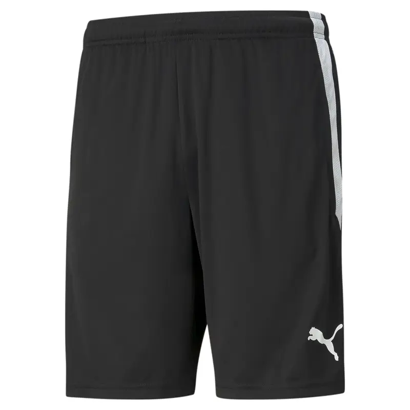 Pantaloncini Puma Team Liga Training Noir