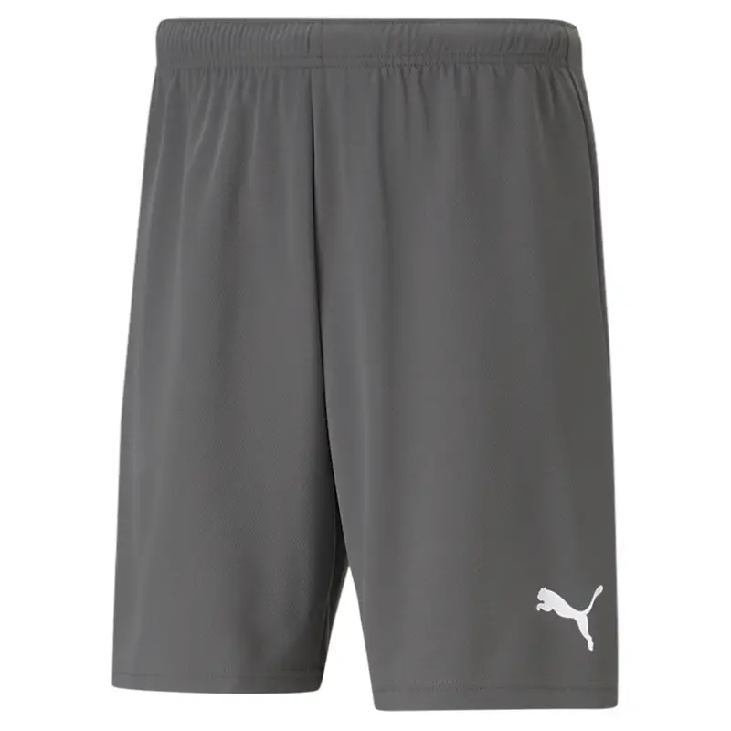 Pantaloncini Puma Team Rise Gris