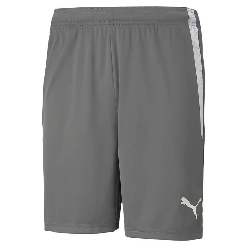 Pantaloni Corti Puma Teamliga Shorts 13 Adulto | Puma Grigio