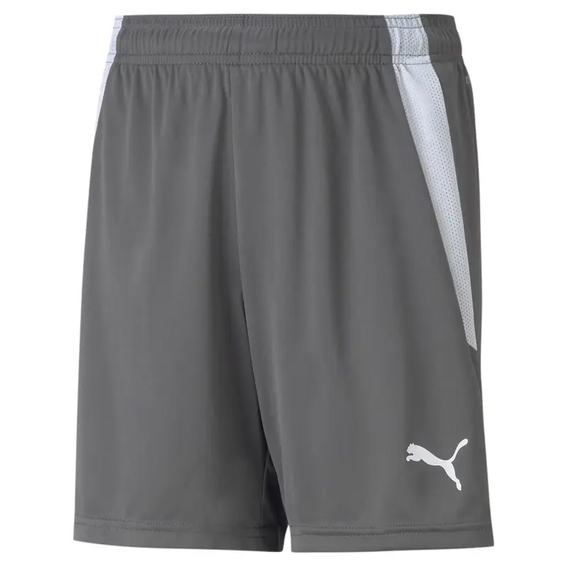 Pantaloni Corti Puma Teamliga Shorts Jr Junior | Puma Grigio