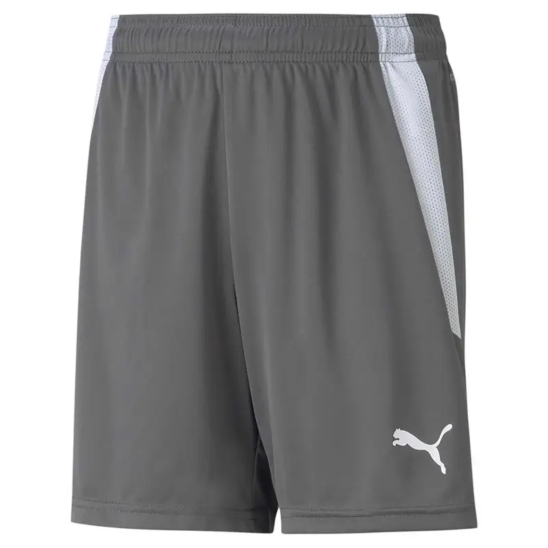Pantaloni Corti Puma Teamliga Shorts Jr Junior | Puma Grigio