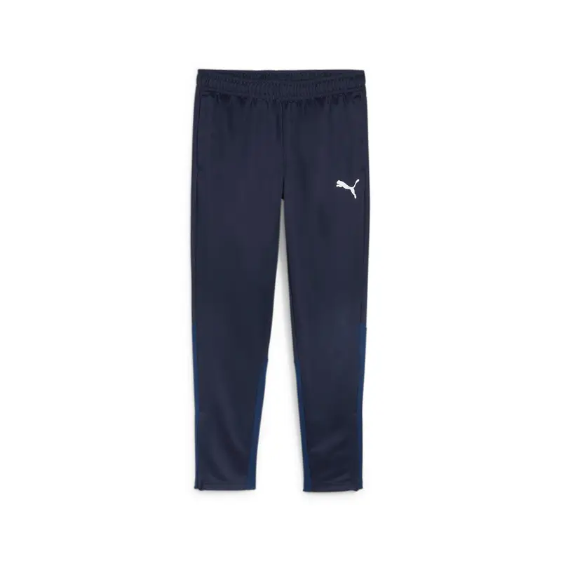Pantaloni da allenamento Puma Teamgoal Bleu