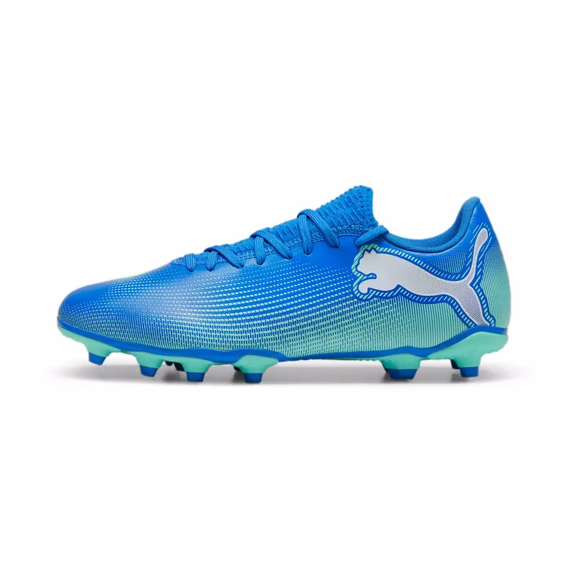 Scarpe calcio Puma Future Play FG/AG Bleu