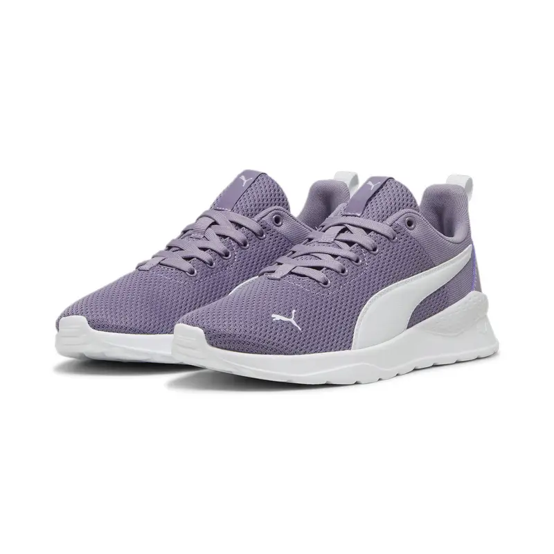 Puma Scarpe da ginnastica Viola 2932205