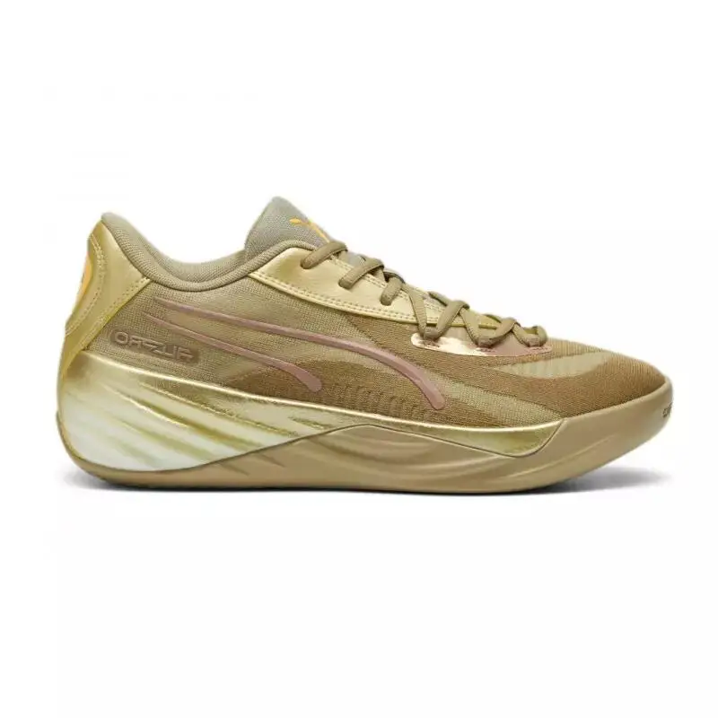 Scarpe indoor Puma All-Pro Nitro CNY | Puma Grigio