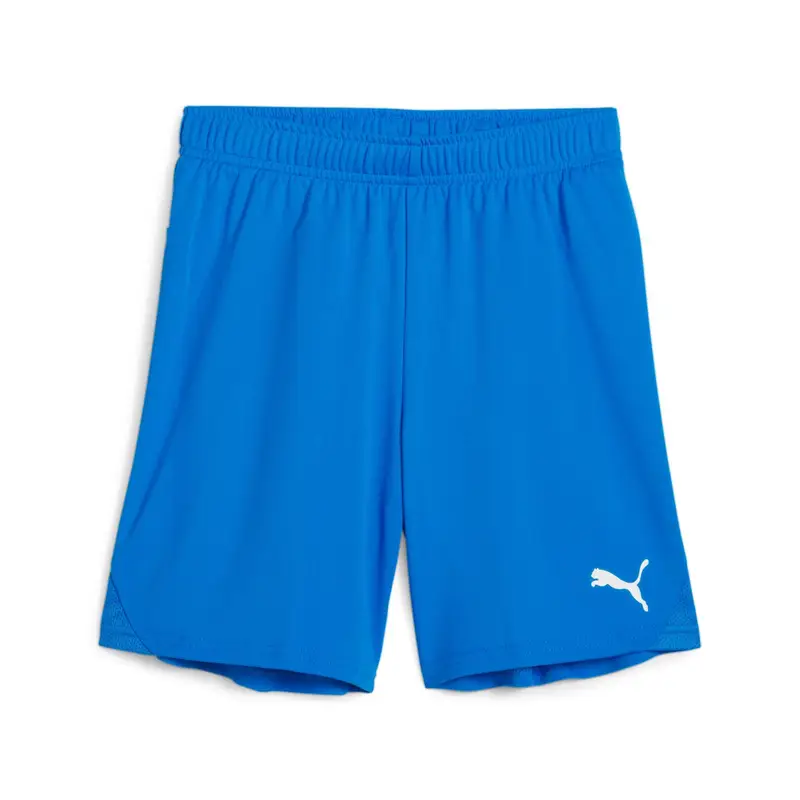 Short per bambini Puma TeamGoal Bleu