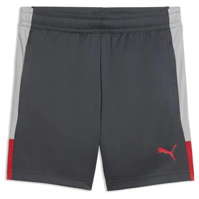 Shorts per bambini Puma Liga TRG Gris